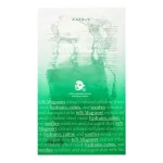 Axis-Y Mugwort Green Vital Energy Complex Sheet Mask